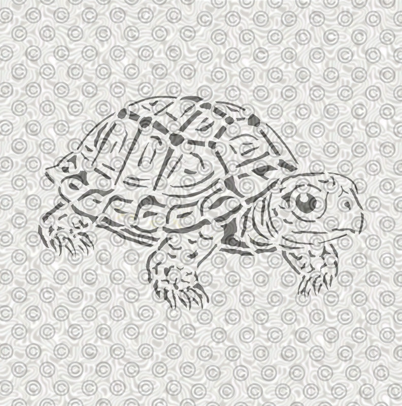 Box Turtle Stencil