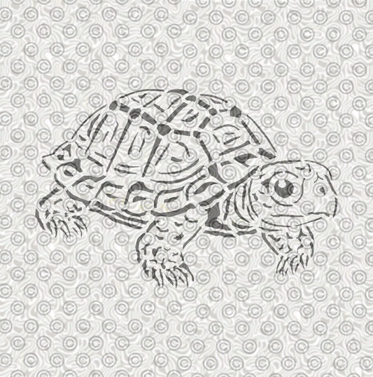 Box Turtle Stencil