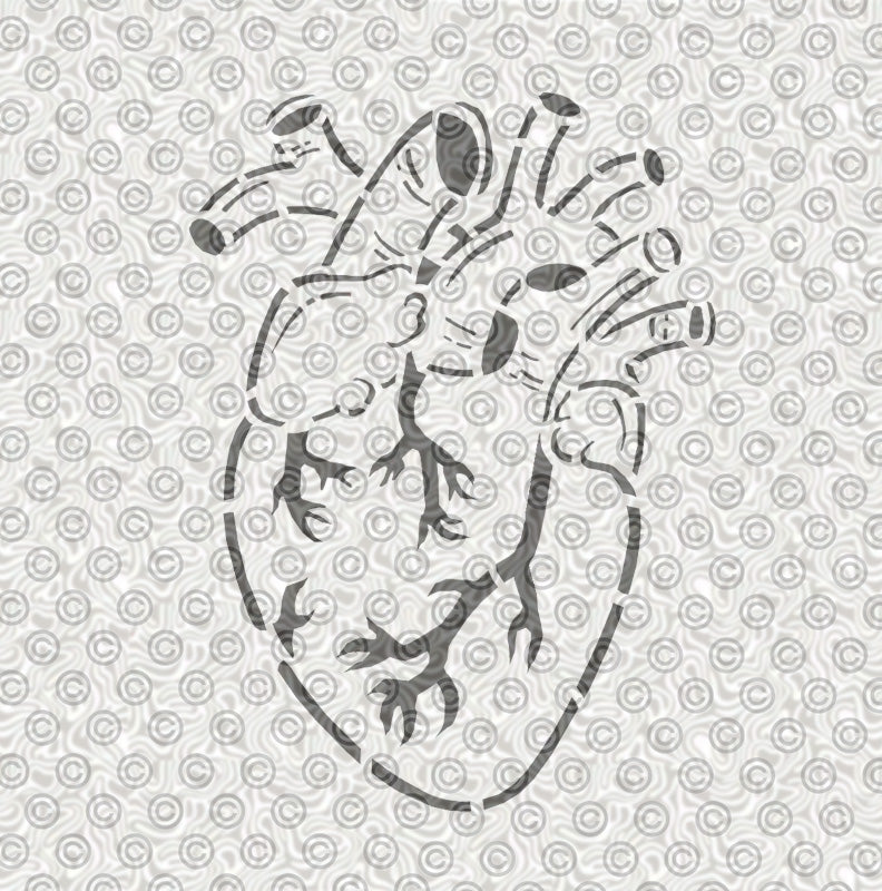 Anatomical Human Heart Stencil