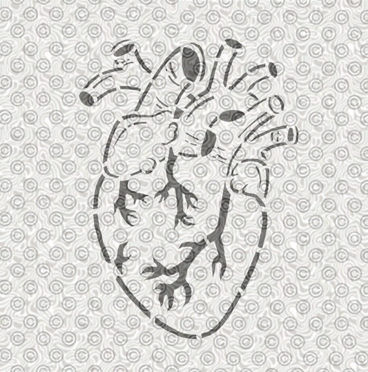 Anatomical Human Heart Stencil